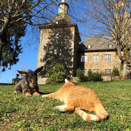 Und Restaurant Burg Schnellenberg Hotel 4*