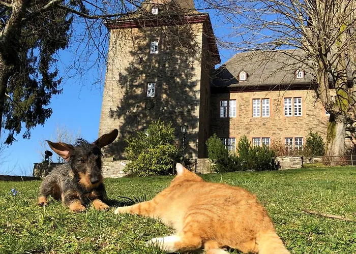 Und Restaurant Burg Schnellenberg Hotel 4*